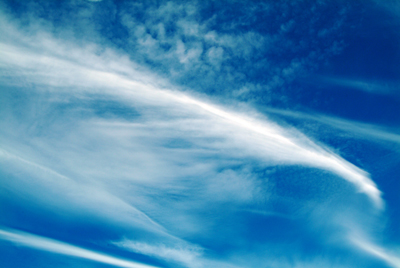 Image Concealment Films - MH Studios